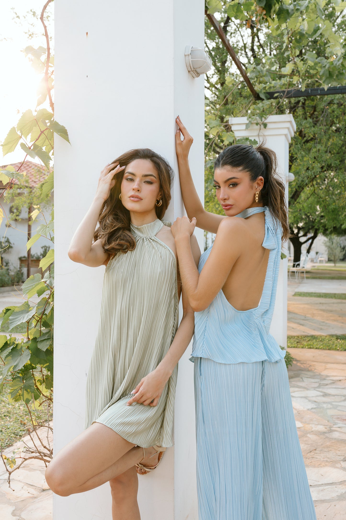 Top Dahlila Celeste